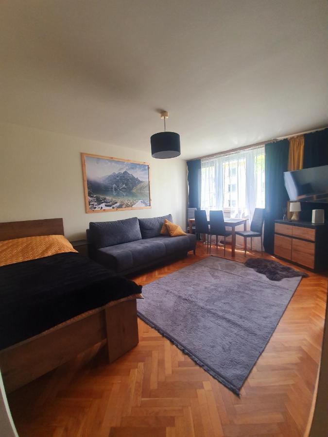 Apartament Izba W Centrum 扎科帕内 外观 照片