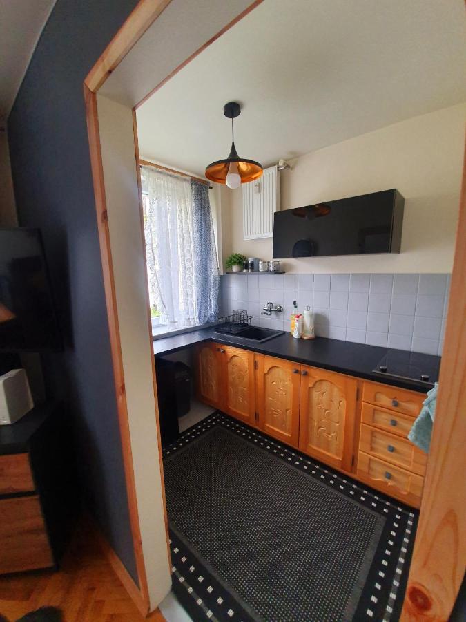 Apartament Izba W Centrum 扎科帕内 外观 照片