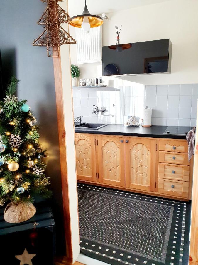 Apartament Izba W Centrum 扎科帕内 外观 照片