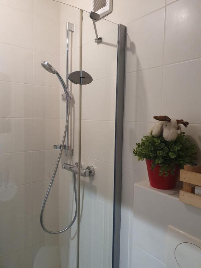Apartament Izba W Centrum 扎科帕内 外观 照片