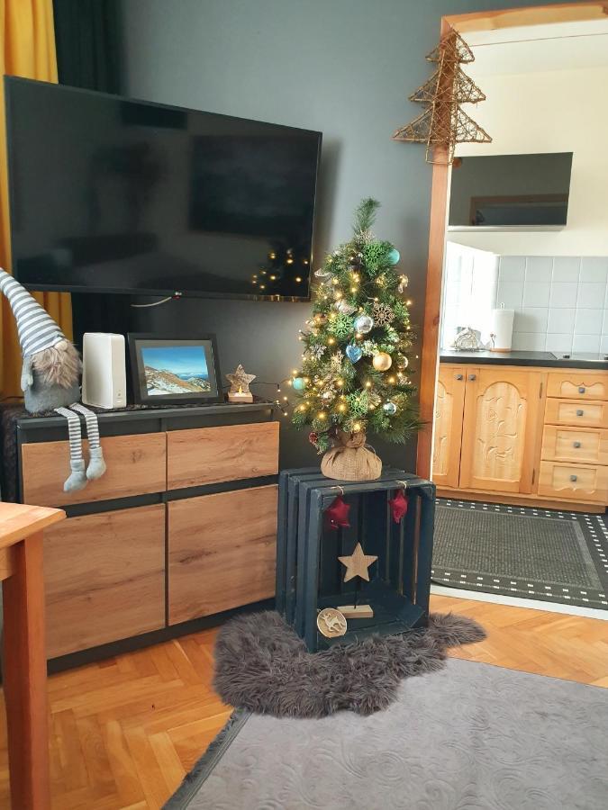 Apartament Izba W Centrum 扎科帕内 外观 照片
