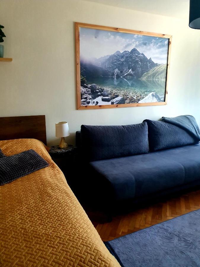 Apartament Izba W Centrum 扎科帕内 外观 照片