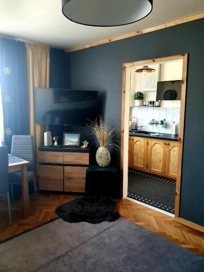 Apartament Izba W Centrum 扎科帕内 外观 照片